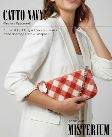 Клатч-конверт-косметичка из Шелка Женский CATTO ROSSA!_Thiny/S